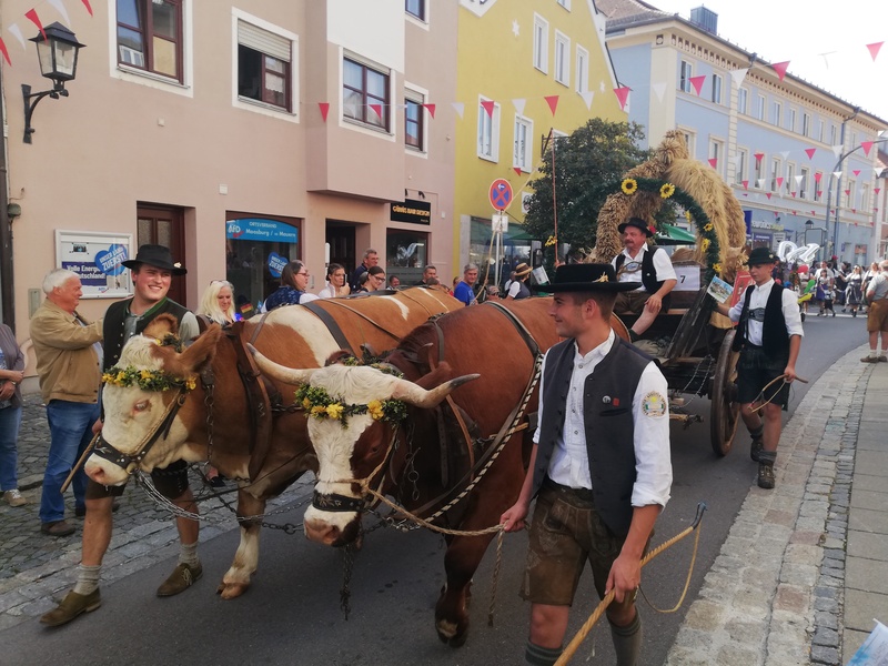Herbstschauumzug Moosburg2024