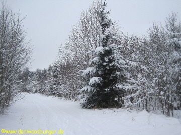 Noch ist es Winter