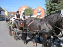 IMG_7987